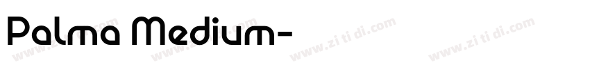 Palma Medium字体转换